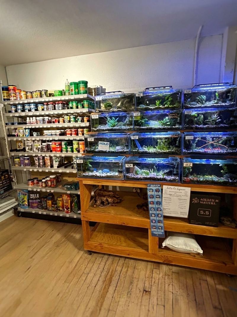 Stacked fish tanks next to shelves of fish food, water care and tank supplies