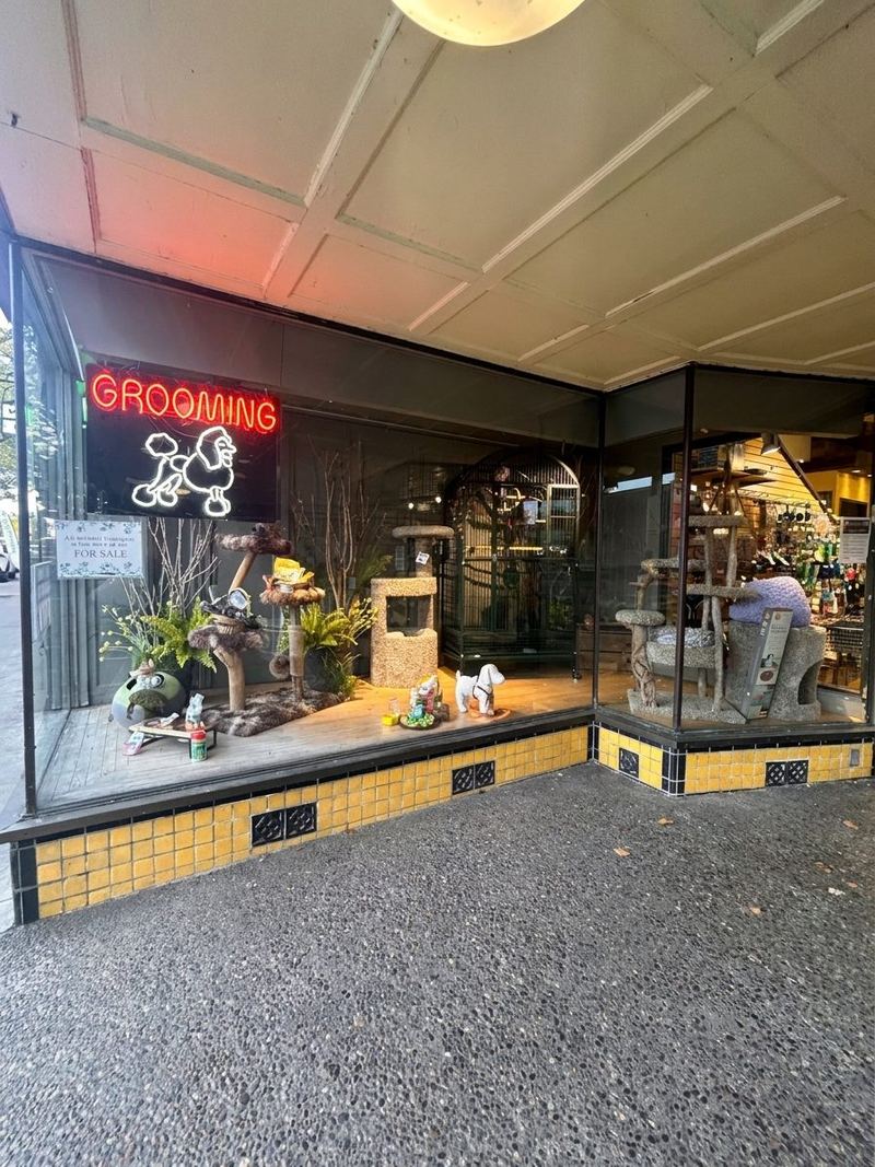 The front window with a red neon Grooming sign and cat trees on display
