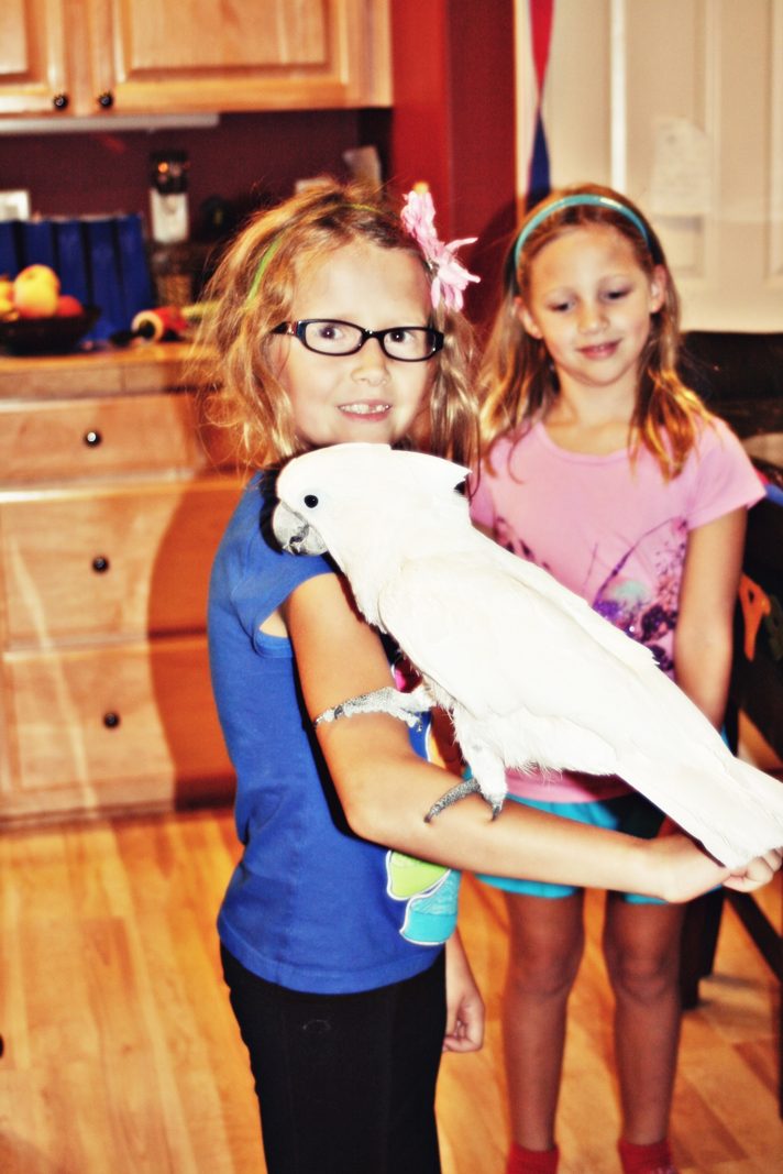 Two girls at a birthday party holding a white cockatoo