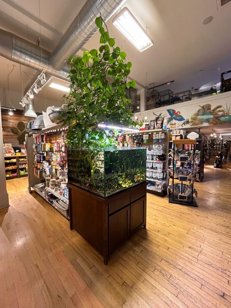 Inside Critter Cabana: a planted aquarium on a wood stand, aisles of food and supplies behind