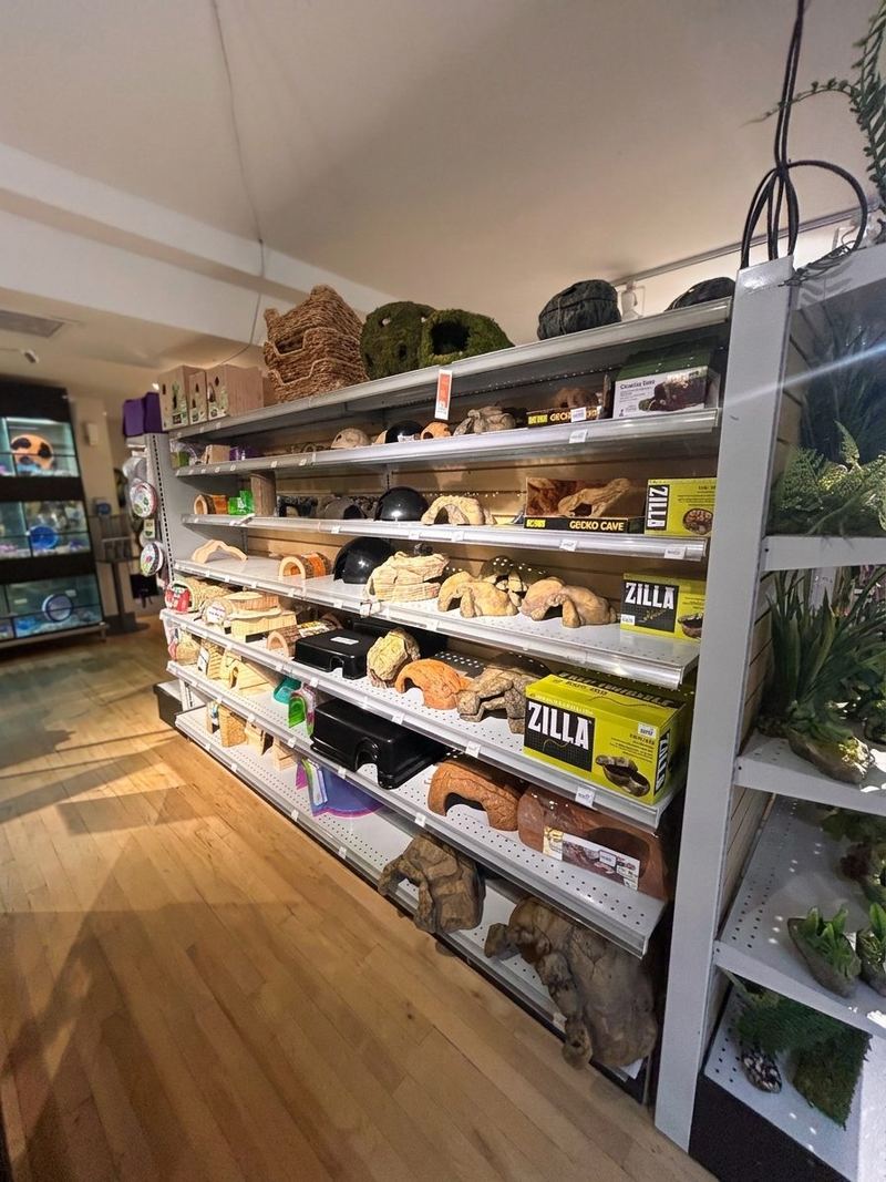 Shelves of reptile hides, caves and Zilla habitat decor