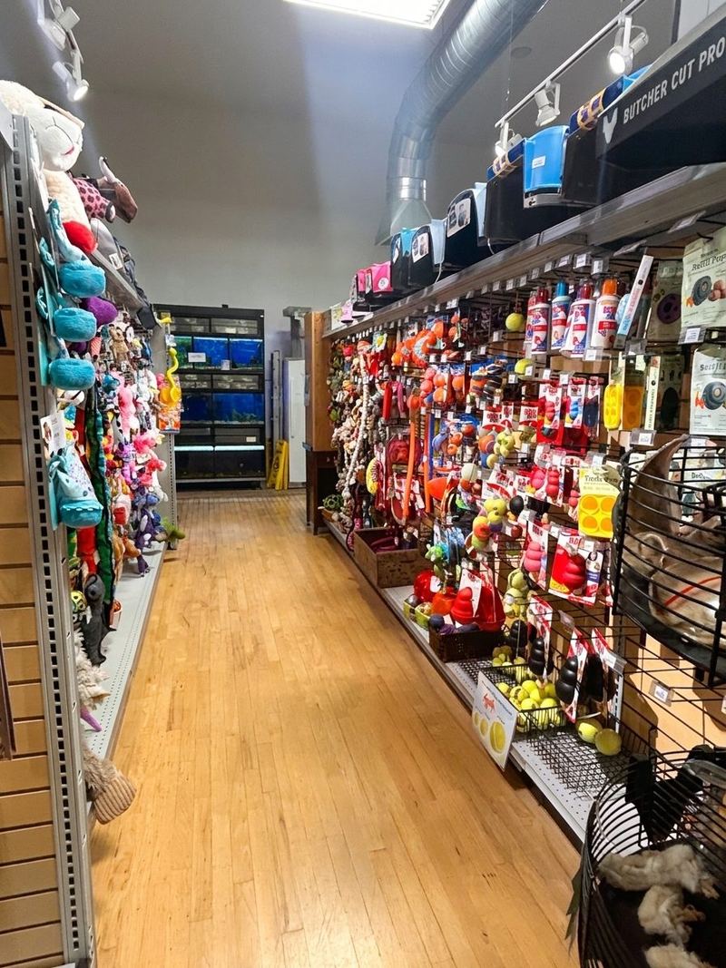 An aisle of hanging dog toys